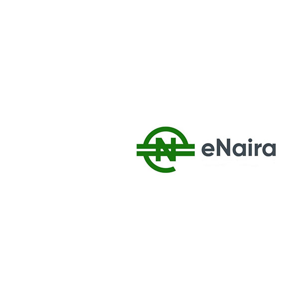 E-Naira Article Image